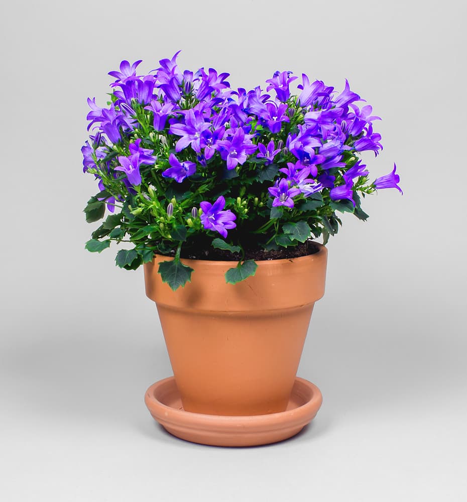 Gardeners always get their hands in the dirt.